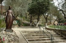 Your Day, Your Way Private Tour with Expert Guide in Minivan