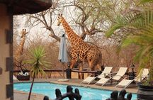 3 Day African Rock Lodge Safari in Kruger National Park