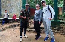 1-Day Jungle Trek into Bukit lawang National Park Stay in Medan 