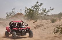 Agadir Buggy Dunes & Beach Adventure with Hotel Pickup