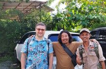 2 day Sumatra Orangutan Jungle Trek Tour Medan - Bukit Lawang