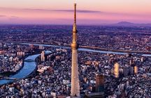 Tokyo Private City Tour With English Driver