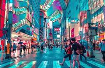 Tokyo Private City Tour With English Driver