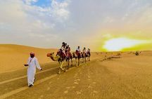 VIP Morning Desert Safari with Quad Bike