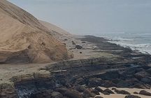 Sandwich Harbour Ugly or nice you come decide Full day Fun