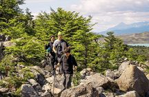 French Valley Hike in Torres Del Paine from Puerto Natales