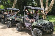 Great River Bamboo Rafting and ATV Quad Bike Tour in Jamaica