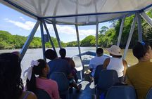 Palo Verde National Park Tour