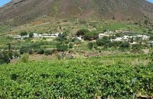 Malvasia Experience: Aeolian Wine Tasting in Salina