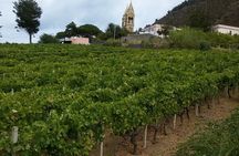 Malvasia Experience: Aeolian Wine Tasting in Salina