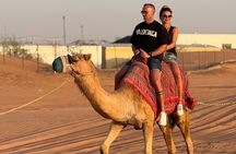 Private Land Cruiser Desert Safari in Dubai and Dinner Buffet