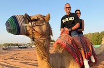 Dubai Half-Day Desert Tour: Camel Ride, Quad Bike