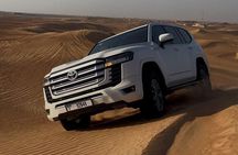 Dubai Half-Day Desert Tour: Camel Ride, Quad Bike & BBQ Dinner