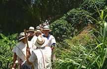 2-Day Tour at the Salento Cocora Thermal Coffee Shop