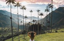 2-Day Tour at the Salento Cocora Thermal Coffee Shop