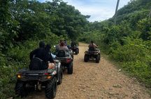 FourWheel Adventure Tours The grounds plus lemon waterfall