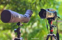 Roatan Birdwatching and Nature Adventure