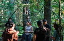 Forest Bathing: Discover the Magic and Awe of Whistler's Forests
