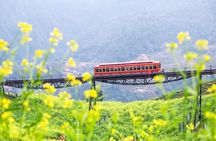 Sapa: Fansipan Summit, Cat Cat Village & Moana Instagram Tour
