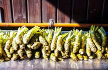 Matsumoto Everything Tour: Castle, Miso, Wasabi, Wine & Ukiyo-e