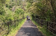 Seto Inland Sea Views & Kojima Denim: Private Cycling Tour (4h)