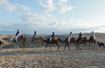 Marrakech: Agafay Desert Quad & Camel Rides with Dinner Show