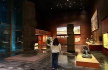 Museum of Anthropology and Chapultepec Castle VIP guided tour