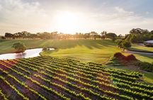 Swan Valley River Cruise and Wine Tasting Day Trip from Perth