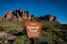 From Scottsdale: Superstition Mountains & Tonto Private Tour