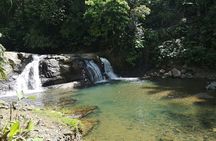Cahuita National Park Nature Walk & Waterfall Tour
