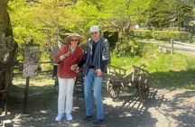 Hida Folk Village Guided Tour with Bus Transfer in Takayama
