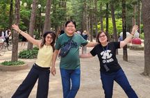 Customized Private Nami island with optional tour
