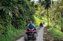 4 Hours ATV Jungle Tour Lunch Included