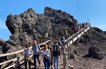 Pompeii and Vesuvius Combo Tour with Local Guide
