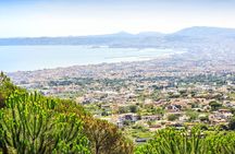 Pompeii and Vesuvius Combo Tour with Local Guide