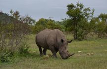 5 Day Group Camping Safari in Tanzania's Wildlife Parks