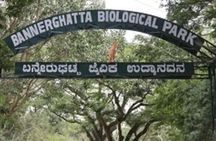 From Bangalore Bannerghatta Park and City Sights Private Tour