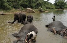 From Bangalore Bannerghatta Park and City Sights Private Tour