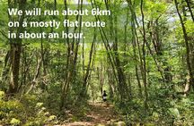 Mystical Fuji Forest Guide Running Trip (Shoe Rental Included)