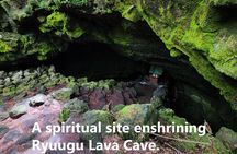 Mystical Fuji Forest Guide Running Trip (Shoe Rental Included)