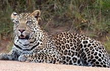 Private day Trip to Nakuru National Park