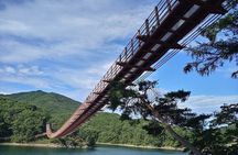 Private Guided Tour in DMZ with Lake (Optional Layover)