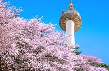 Flexible Private Guided Tour in Seoul (Optional Layover)