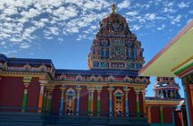 Best of Nadi in Half a Day