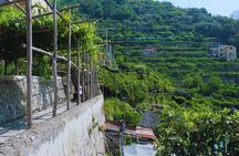 Amalfi Coast: Hike Along the Path of the Lemons