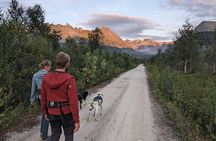 Private Hiking Tour in Tromsø with the Happy Tails Huskies