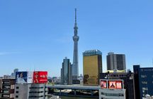 Tokyo Private Half-Day Tour by Car with Local Guide