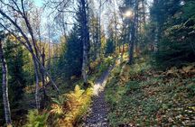 Guided Hike right from Tromsø City