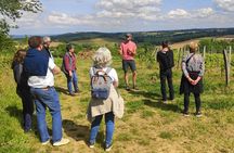 Fronton Small Group Wine Tour from Toulouse