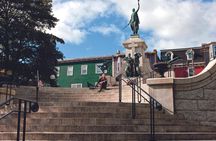 St. John's Guided Walking Tour